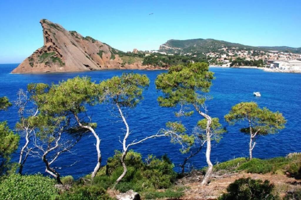 L'Oree De La Plage: Appt. Tout Confort 4/6 Pers. 400 M De La Plage La Ciotat Eksteriør bilde